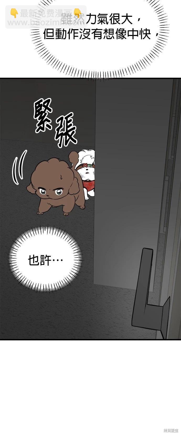 狗狗末日生存法 - 第41話(1/2) - 4