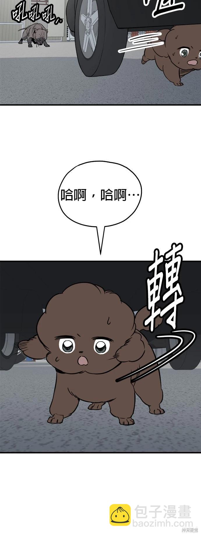 狗狗末日生存法 - 第41話(1/2) - 8