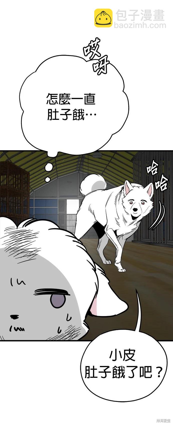 狗狗末日生存法 - 第41話(1/2) - 8