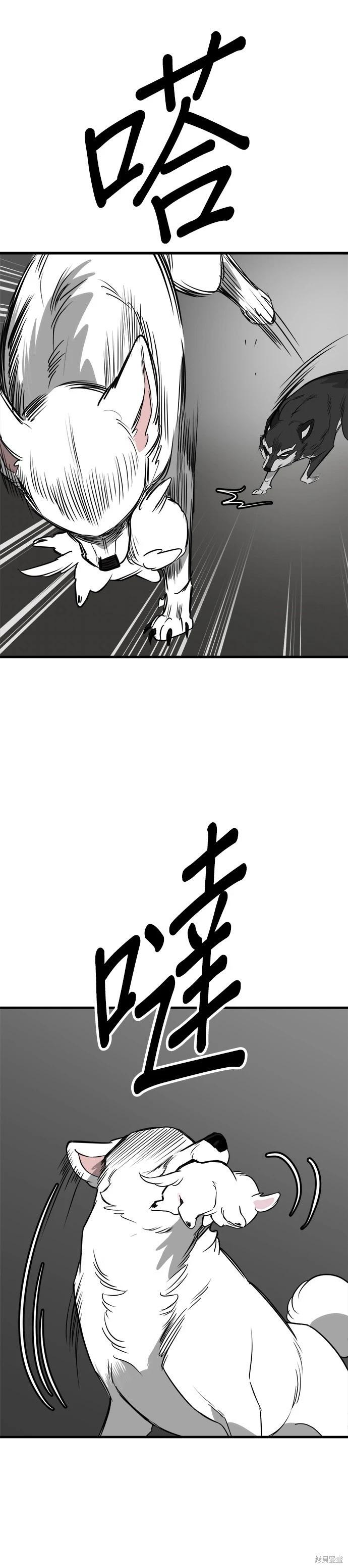 狗狗末日生存法 - 第55話 - 3