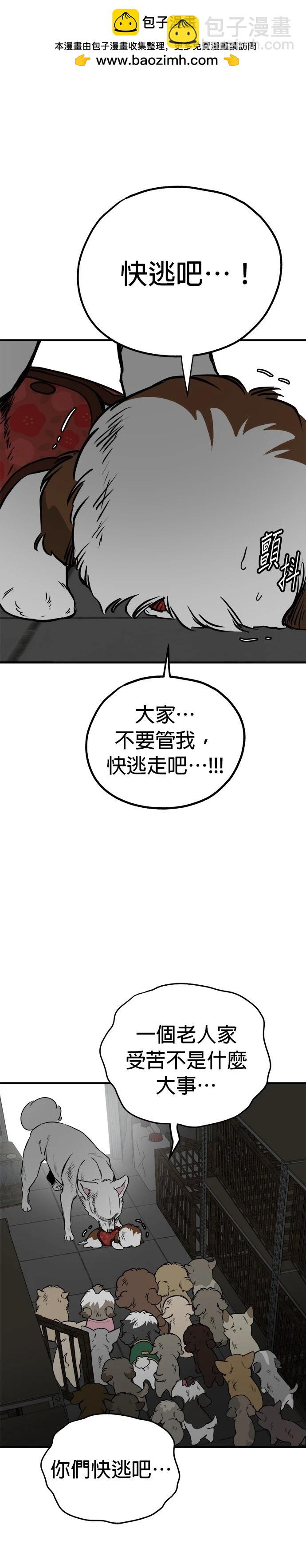 狗狗末日生存法 - 第69話 - 6