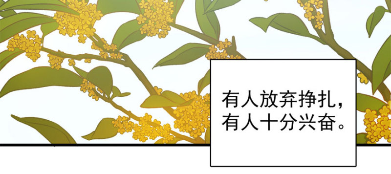 卦妃天下 - 第八十三話(1/3) - 1