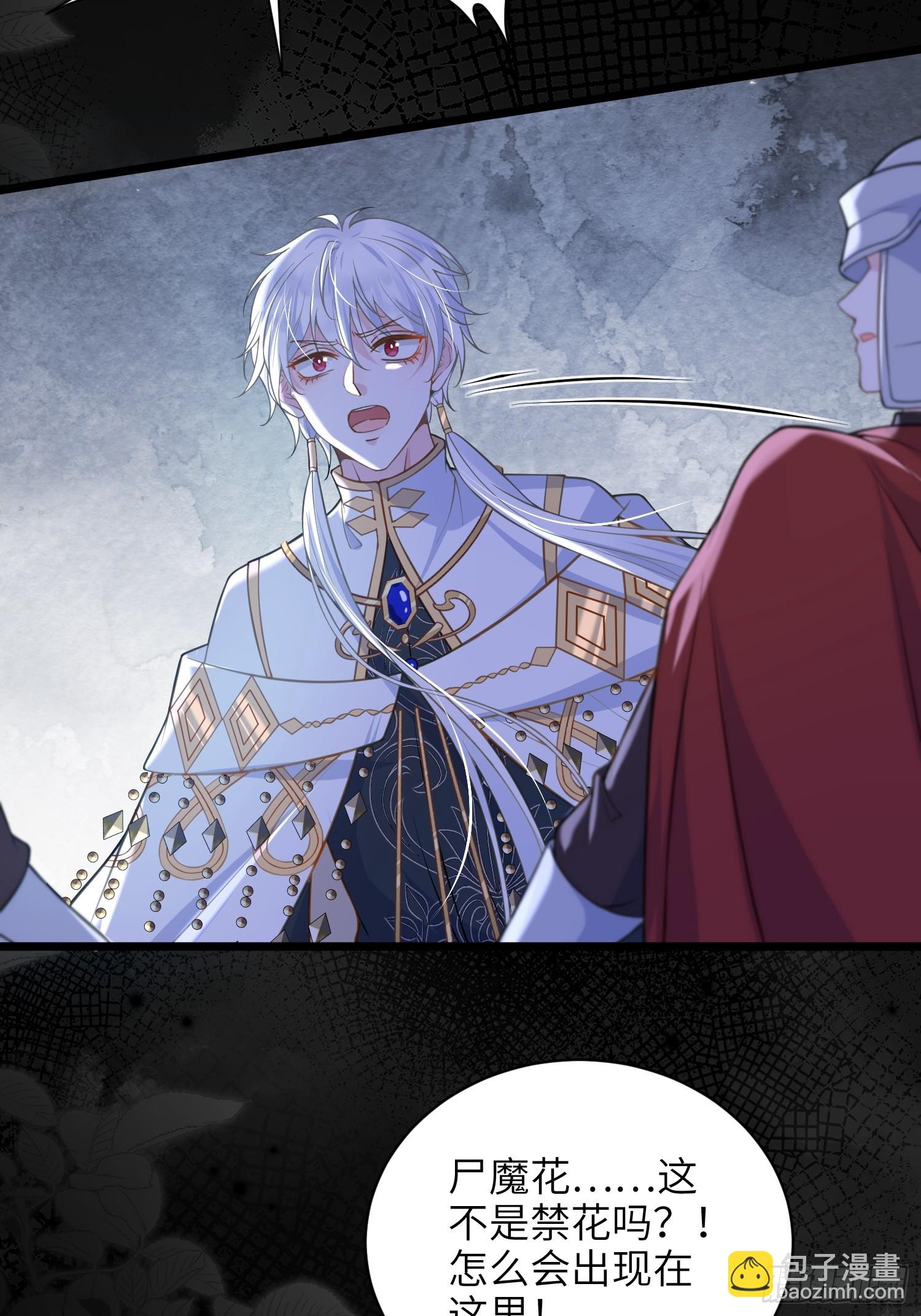 77 拉菲失忆的真相(1/2)-第78话