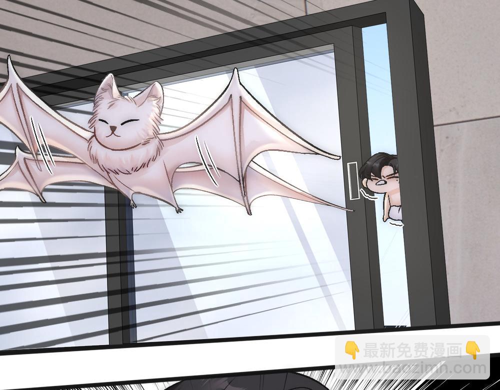 第73话 要白诺消失(1/2)-第76话