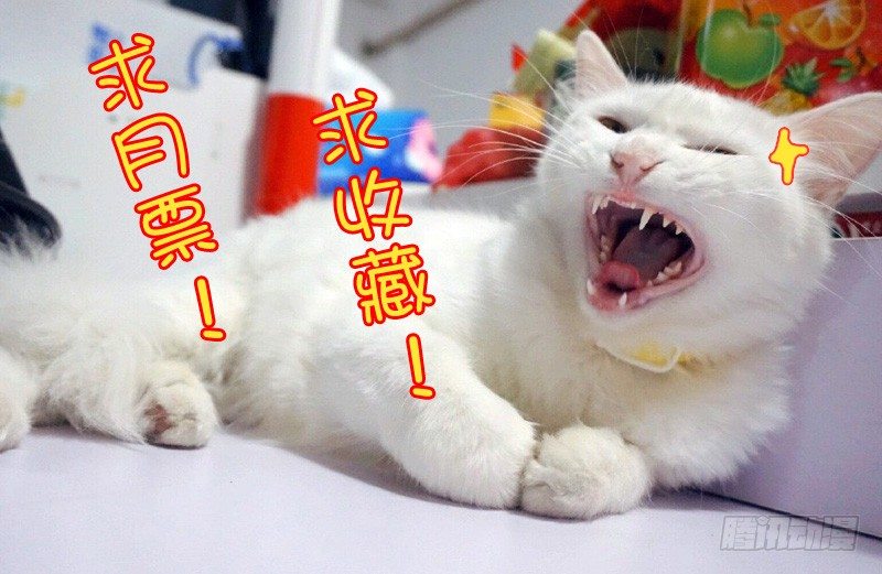 108剪不断的纠缠（上）-第108话