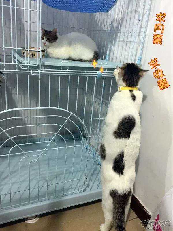 113意外的寿宴-第114话