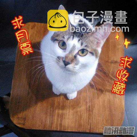 118帝王别墅的女人（上）-第118话