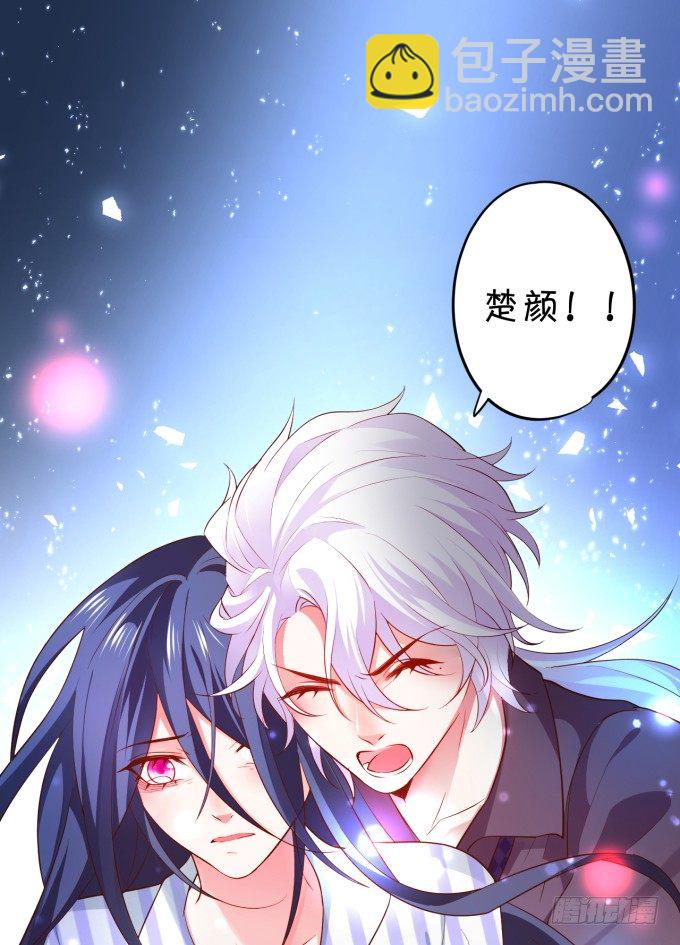 我楚颜定要你血债血偿！(1/2)-第12话