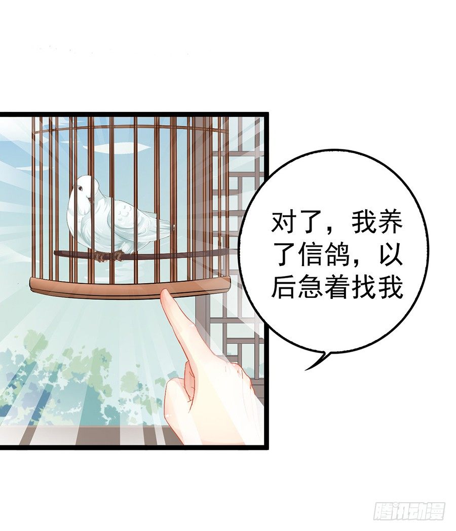 天上掉下个奇女子(1/2)-第12话