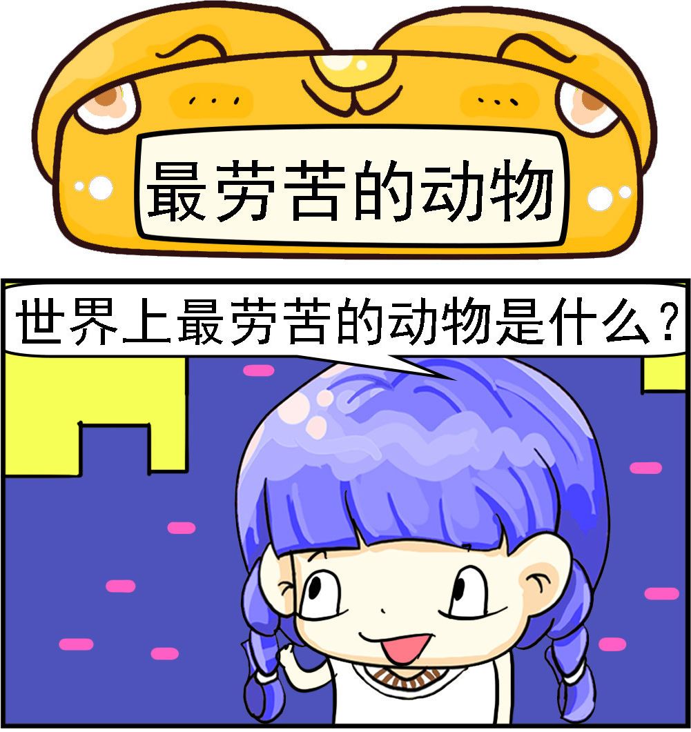 第100话 最劳苦的动物-第100话