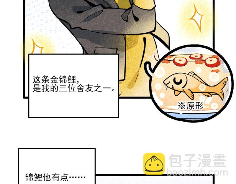 怪就怪唄 - 舍友錦鯉 - 4