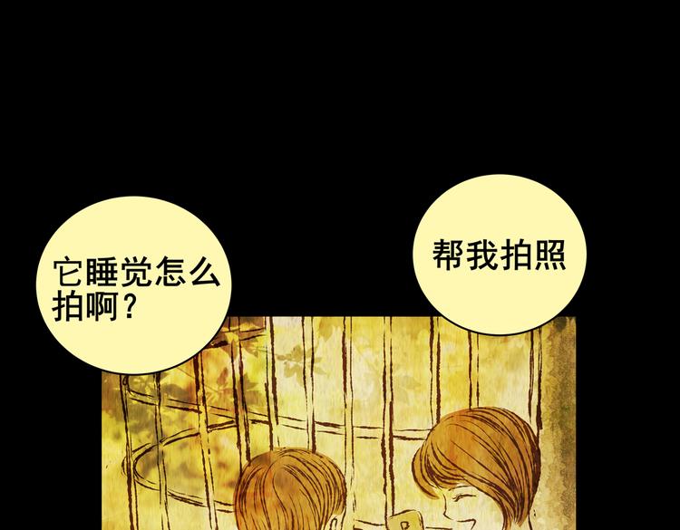 环形恐惧（完）(1/2)-第14话