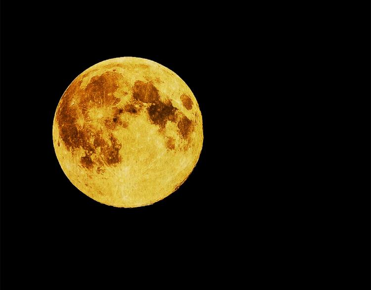 章鱼怪诞（四）(1/2)-第22话