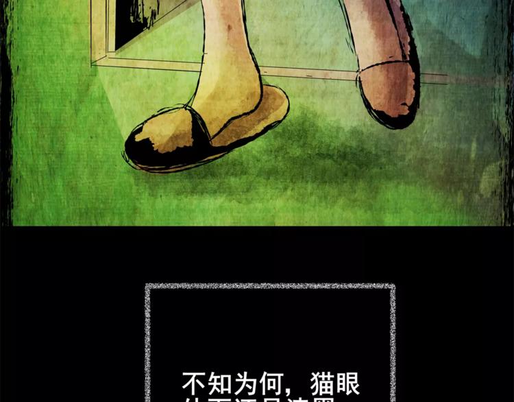 猫眼入侵(1/3)-第38话