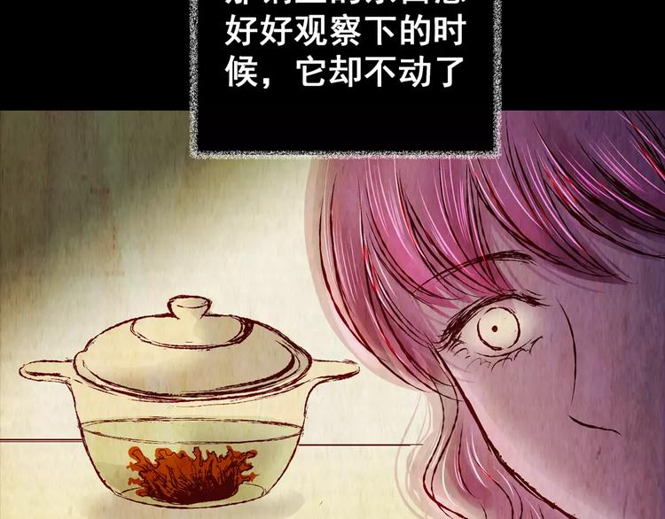 第52话 长生不老（二）(1/2)-第52话