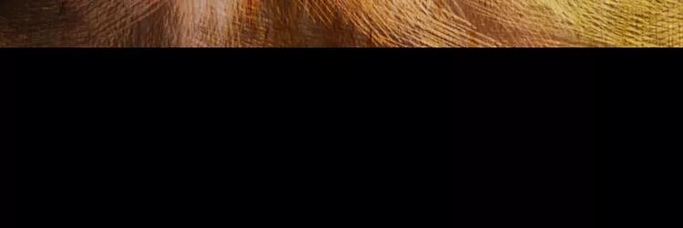 第54话 长生不老（四）(1/2)-第54话