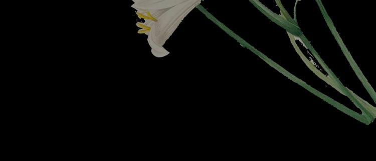 第94话 迷情旅箱（五）(1/3)-第94话