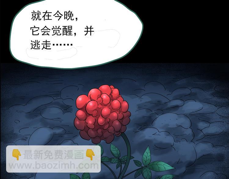 怪奇實錄 - 第210話 人蔘村（中）(3/3) - 5