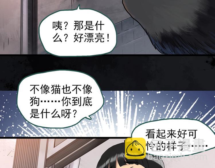 怪奇實錄 - 第270話   貂皮大衣  中(1/2) - 1