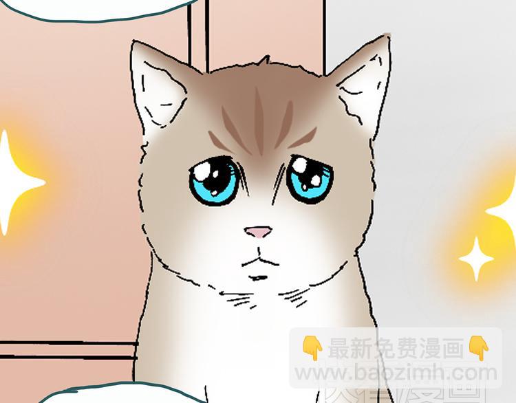 怪奇實錄 - 第28話 怪之貓(上)(1/2) - 2