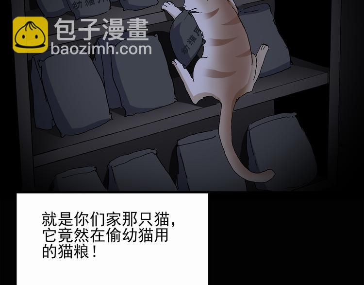 怪奇實錄 - 第30話 怪之貓(中2)(2/2) - 5