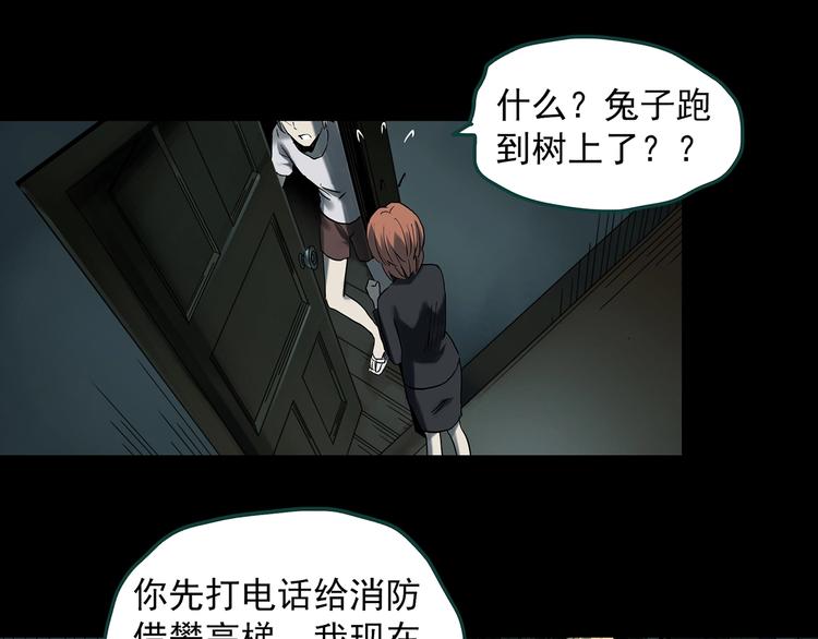 怪奇實錄 - 第358話 樹上影 下(1/3) - 5