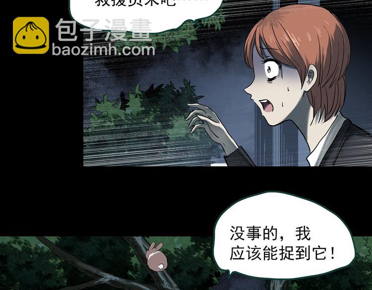 怪奇實錄 - 第358話 樹上影 下(1/3) - 2