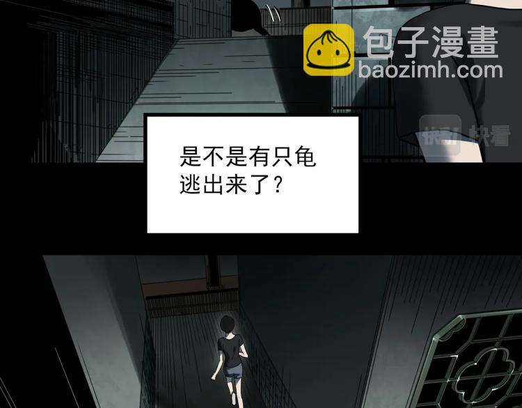 怪奇實錄 - 第374話 龜之怪談（上）(1/3) - 5