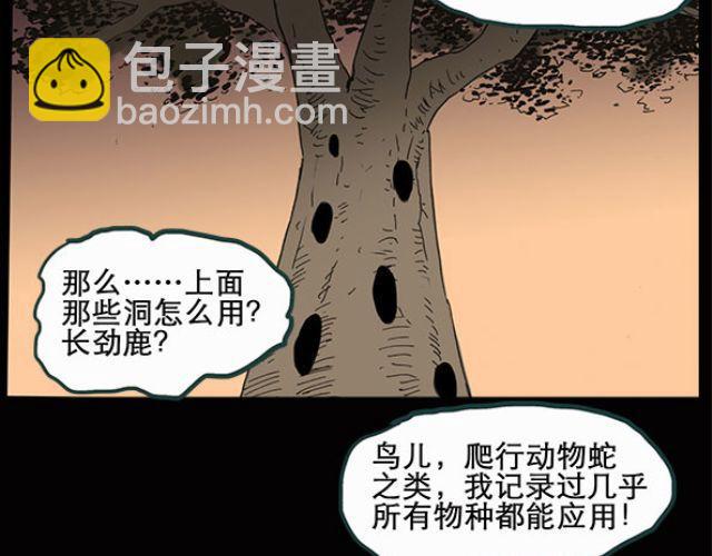 怪奇實錄 - 第10話 配偶樹（上） - 6