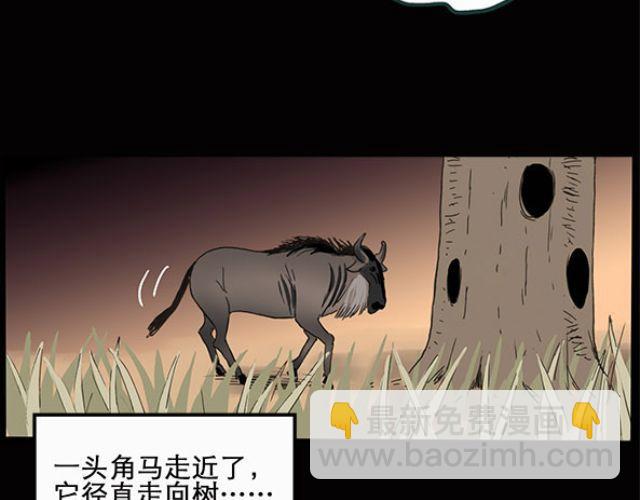 怪奇實錄 - 第10話 配偶樹（上） - 1