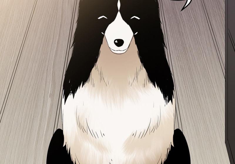 宠物食粮&middot;三(1/3)-第70话