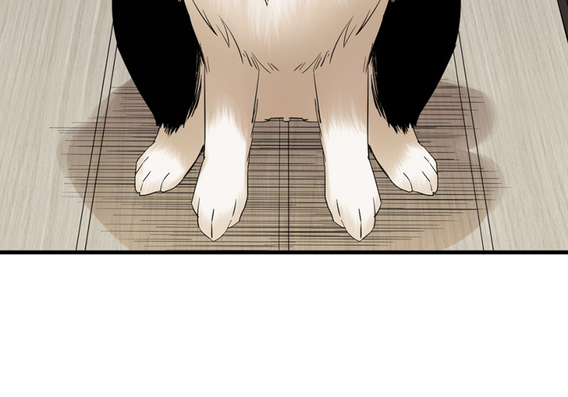 宠物食粮&middot;三(1/3)-第70话