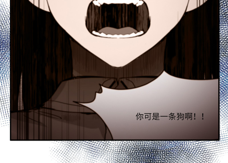 宠物食粮&middot;五(1/3)-第72话