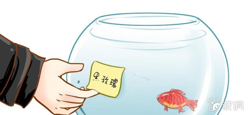 第3话  代号：向阳花(1/3)-第4话