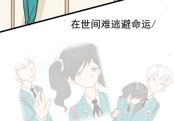 第35话    蝙蝠和猫猫(1/2)-第36话