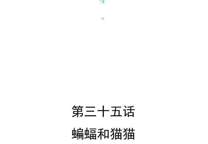 第35话    蝙蝠和猫猫(1/2)-第36话