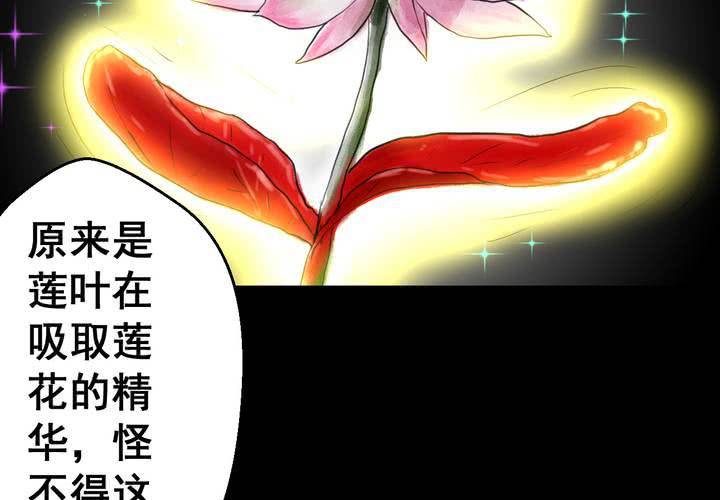 第29话 并蒂莲（一）(1/2)-第32话