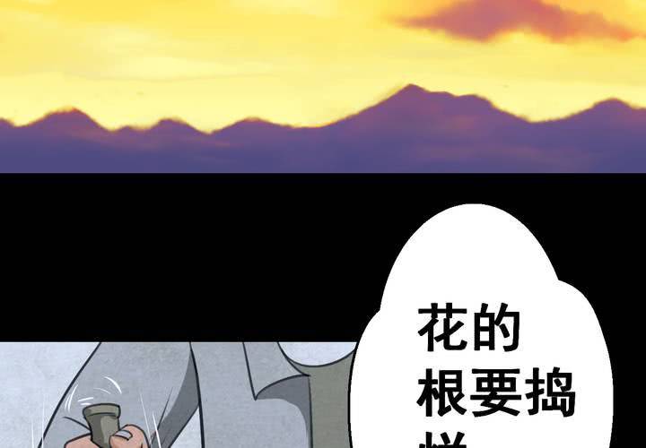 第46话 雷公花-今生（下）(1/2)-第50话