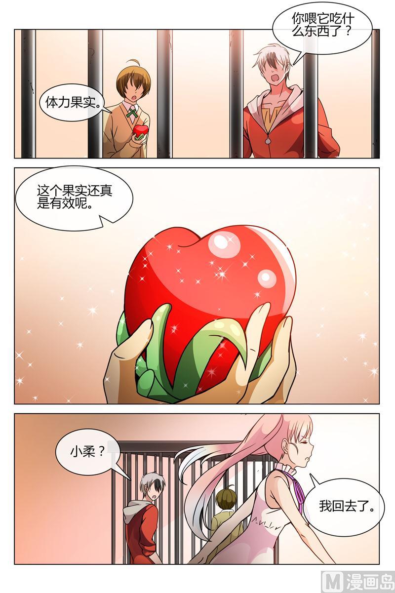 体力果-第22话