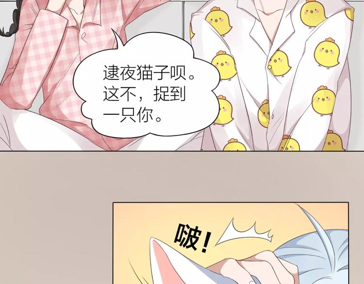 第21话 猫男的朋友们(1/2)-第22话