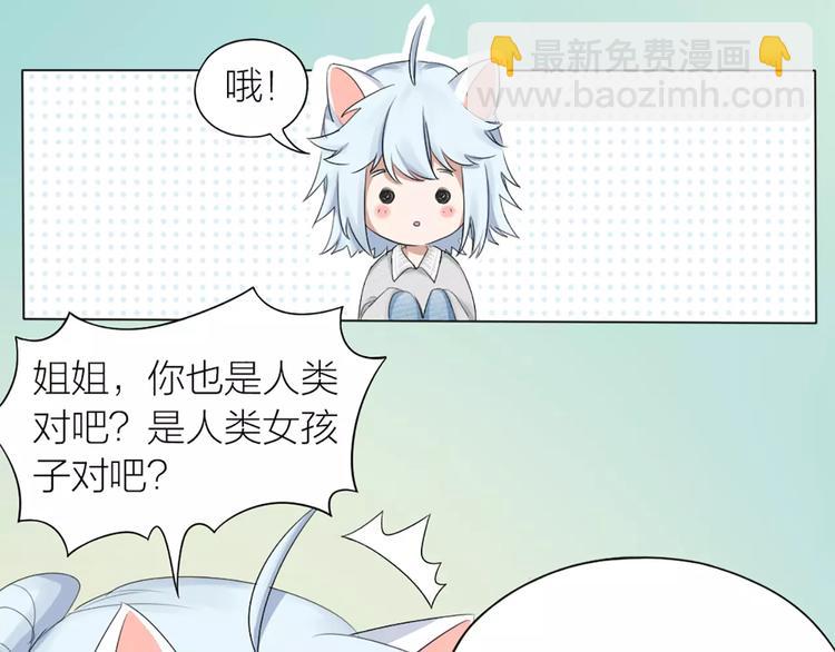 第23话 猫男的求爱方式(1/2)-第24话