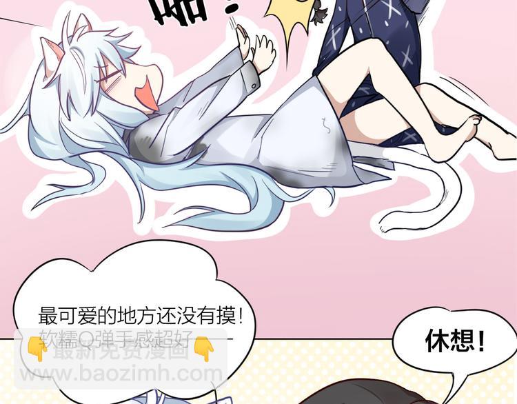 第3话 猫咪肚皮手感棒(1/2)-第4话