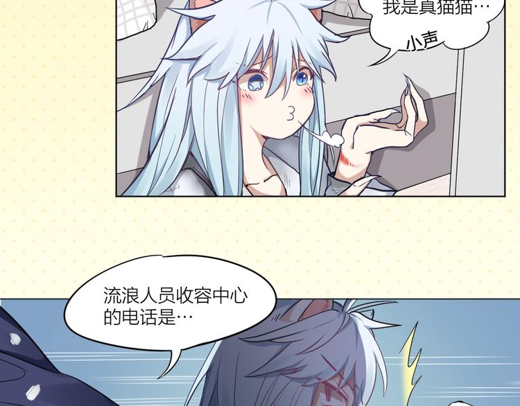 第3话 猫咪肚皮手感棒(1/2)-第4话