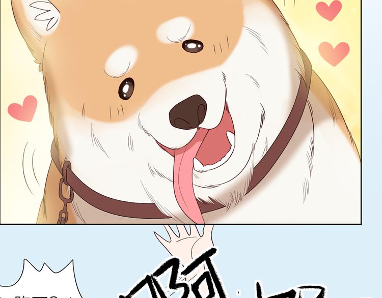 第55话 剧组的意外(1/2)-第58话