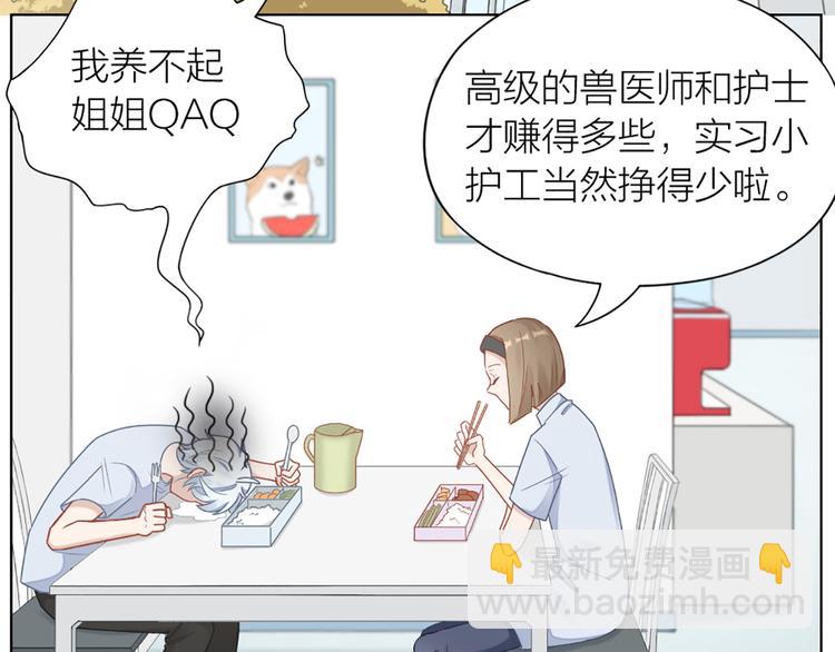 第67话 猫猫想上学(1/2)-第70话