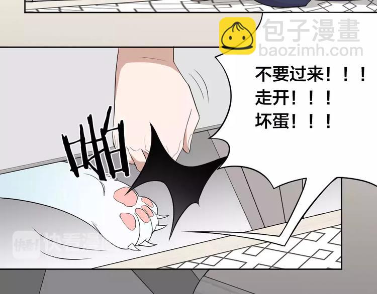 第7话 主人身上的小白云(1/2)-第8话