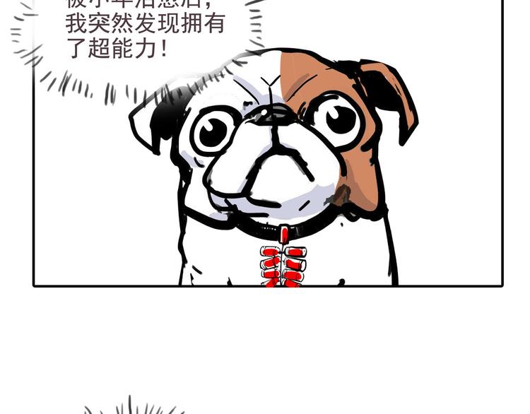 番外(1/2)-第12话