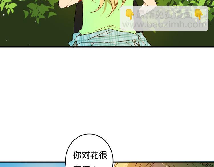 第5话 危险的花(1/2)-第6话