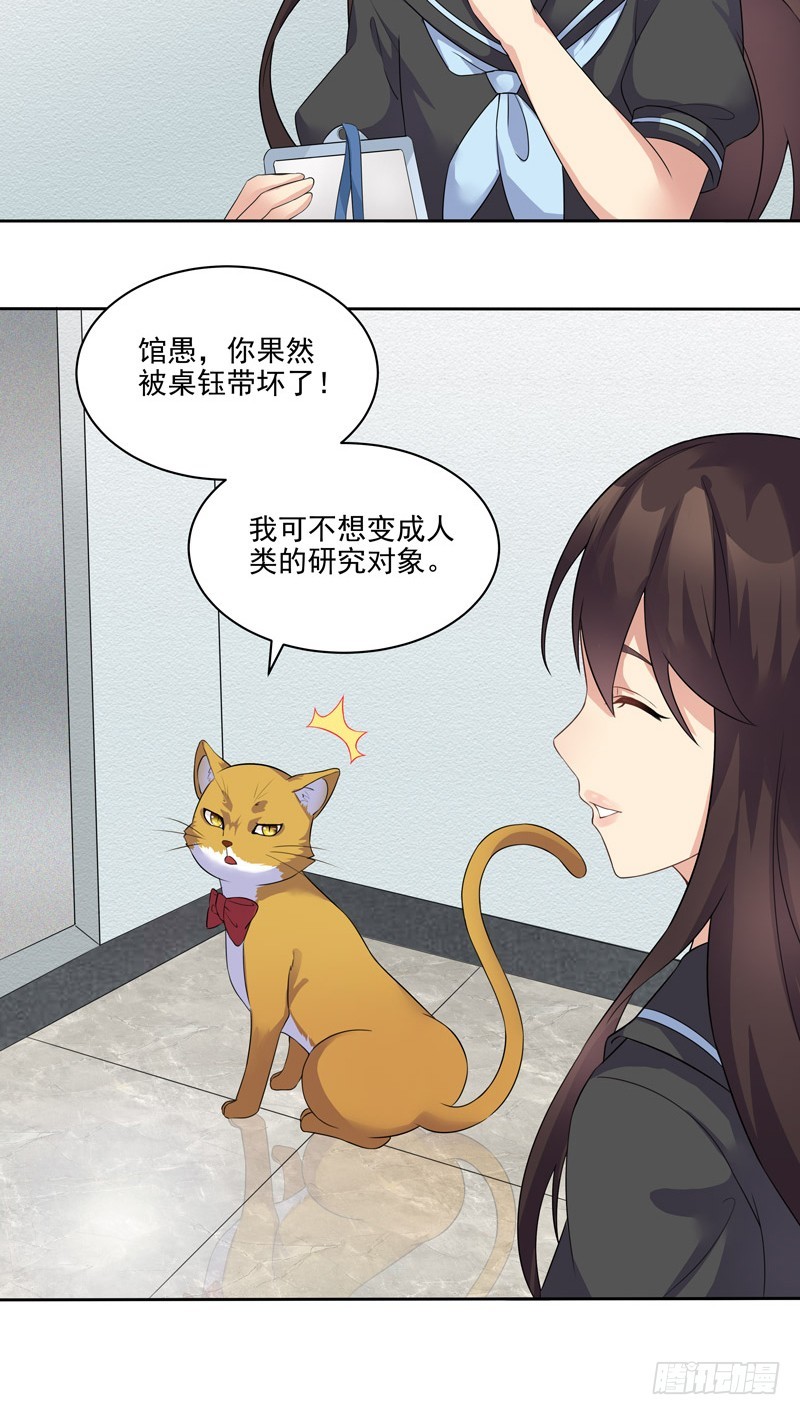 正反拼图03-第14话