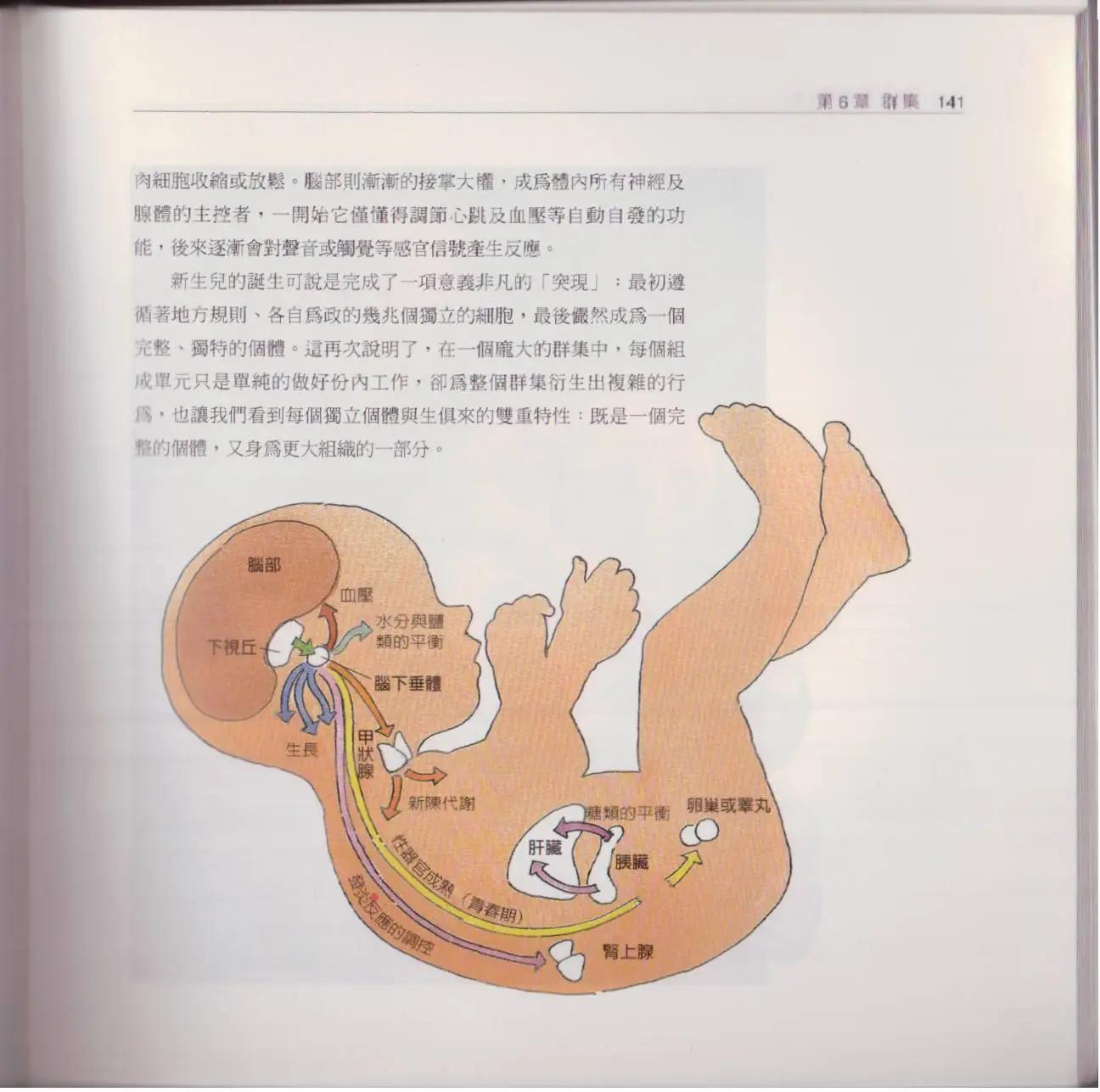 观念生物学 - 第02卷(3/6) - 4